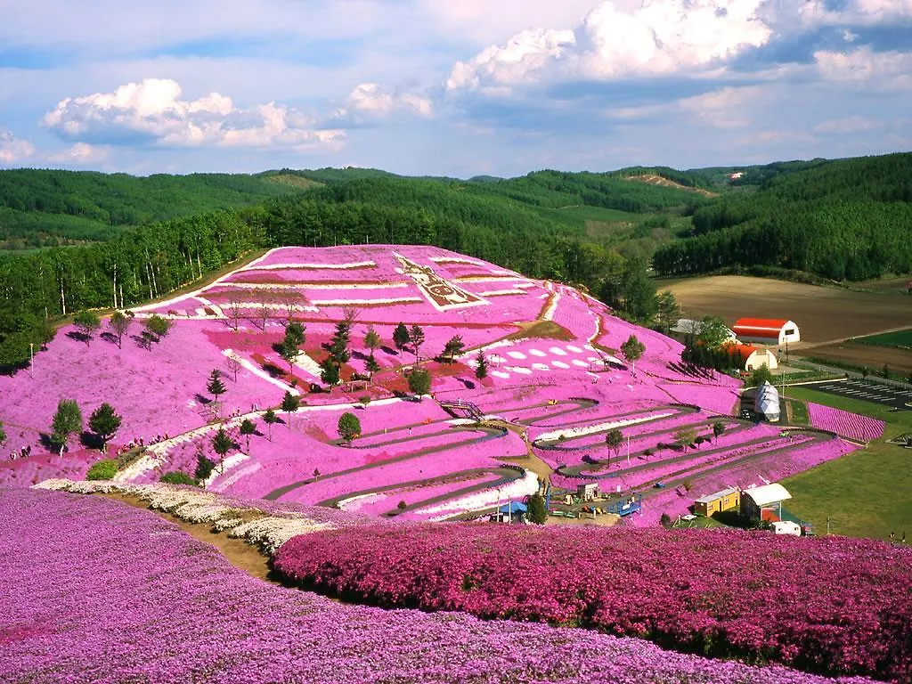 川湯観光ホテル 弟子屈町 3*,
